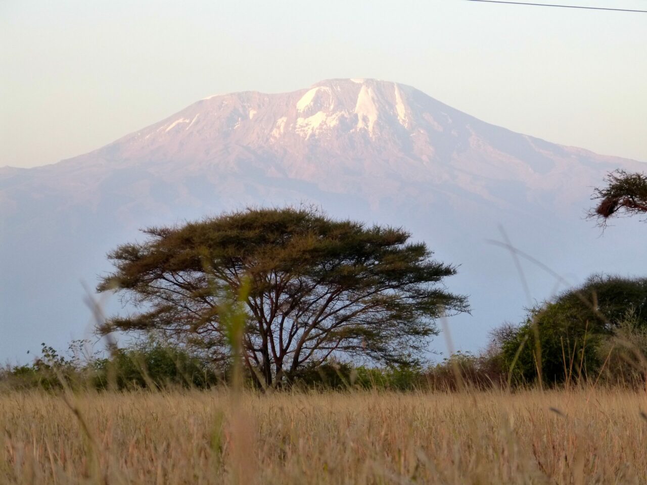Quelle condition physique pour faire le Kilimandjaro ?