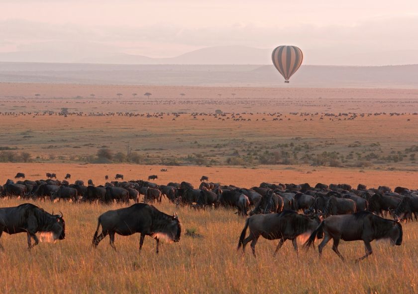 Découvrez les Trésors Cachés : Lieux Incontournables à Visiter lors d'un Safari au Kenya avec Hors Pistes