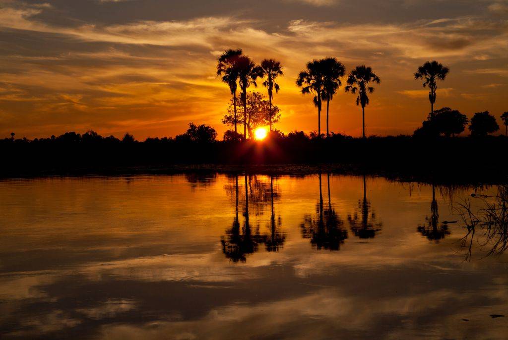 Safari inoubliable au Botswana : à la rencontre des Big Five